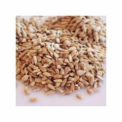 Premium Wholesale Alfalfa Seed for Sale – High Germination Non-GMO Certified Seed for Forage, Hay Production, Livestock Feed, Cover Crop, and Global Export Supply - Image 2