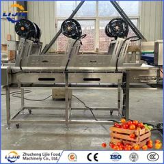 Hot Sale Automatic Factory Price OEM Customized Washing Cleaning Machine for Tomato - Image 5