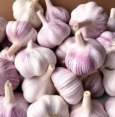 White Garlic And Red Garlic – product photo 2, product detail gallery