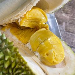 Monthong Durian Made In Vietnam So Fresh Premium Quality Fresh Whole Piece /Frozen Pulp Durian Fruit Monthong – product photo 3, product detail gallery