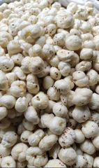 Fox Nuts - Image 1