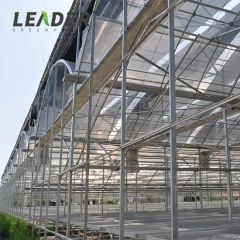 Solar Greenhouse Plastic Films and Strawberry Greenhouses for Agriculture - Image 5