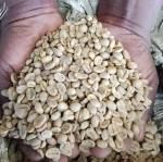 Coffee Beans (Washed & Natural) - Image 1