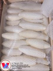 VEGETABLE MARKET PRICE FRESH WHITE RADISH Type Radish Style Fresh Color White Weight (kg) 1 Taste Delicious Model Number - Image 3