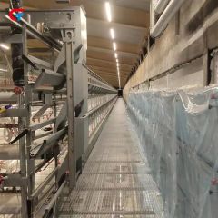 Factory Price H Type Layered Chicken Farm Automatic Poultry Cages - Image 5