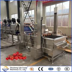 Fruit and Vegetable Processing Fresh Tomato Bubble Cleaning Washing Machine - Image 2