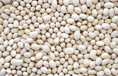 White Beans (Cannellini Beans) - Image 1