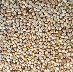 Sesame Seeds - Image 2