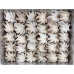 Baby Octopus – product photo 1, product detail gallery