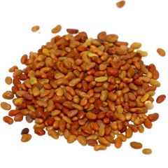 Certified Alfalfa Seed for Bulk Sale – High Yield, Nutrient Rich, Non-GMO Seed for Forage Production, Cover Crops, Sprouting, and Commercial Farming - Image 4