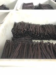vanilla Beans – product photo 1, product detail gallery