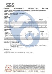 Certificate10 certificate from HENAN SAFE-GUARD CO., LTD.