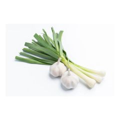 Wholesale Supplier Fresh Peeled Garlic For Sale In Reasonable Price - Image 1