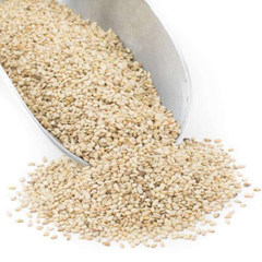 Natural Sesame Seeds With Rich Flavor And Clean Texture Perfect For Restaurants Bakeries Food Processors - Image 5