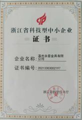ST Enterprises certificate from Wenzhou Yopu Electric Co., Ltd.