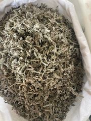 sage leaves Packaging 25kg Texture Velvety Color Gray-green Place of Origin Egypt Flavor Profile Pungent, Spicy, And Slightly Bitter - Image 1