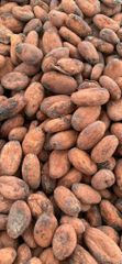 Grade1 cocoa beans - Image 2