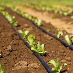 Watering Irrigation Pipe Farm System - Image 2