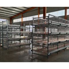 Vertical Chicken Broiler Cage Manufacturers Highly Efficient Feeding Design Hot-DIP Galvanized Chicken Layer Battery Cages - Qingdao Intelligent Poultry Investment Development Co., Ltd.