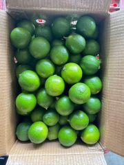 Fresh South African Lemons, Oranges, Grapefruit, Mandarins, Lime for sale, 100% Organic, NEW CROPS!! – product photo 5, product detail gallery