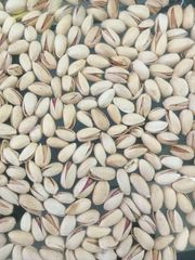 Iranian Pistachio – Fandoghi 30/32 - Image 2