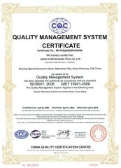 ISO 9001 QUALITY SYSTEM CERTIFICATE certificate from ANHUI YAFEI MACHINE TOOL CO., LTD.