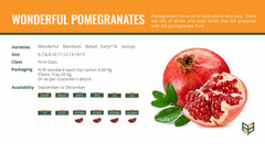Product thumbnail 15