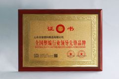 National Plastic Knitting Industry Leader Pioneer brand certificate from Shandong Shuangwei Plastic Products Co., Ltd.
