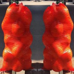 Eco-Friendly Durable Plant Agricultural Biodegradable Vegetable Net - Image 4