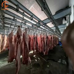 Turnkey Solution Full Slaughtering Industrial Pig Slaughter Line Equipment - Image 5
