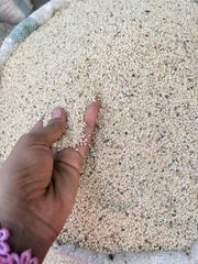 Seseme seeds – product photo 3, product detail gallery