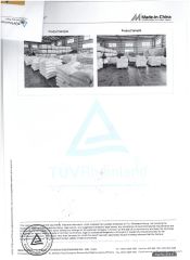 ASGARD-TUV Rheinland certificate from Shandong Asgard Import&Export Co., Ltd
