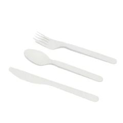 Compostable Heavyweight Disposable Cpla Spoons Eco Friendly Compostable Spoons - Image 6