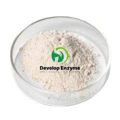 Broiler-Love Compound Enzyme, Price, Reduce The Feed-to-Meat Ratio, Improves The Energy Metabolism of The Diet, Wide pH Tolerance, Gain Weight - Beijing Develop Biotech Co., Ltd.