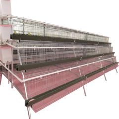 Automatic Egg Layer Chicken Coop for Poultry Farming - Image 3