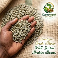 Green bean coffee – product photo 2, product detail gallery