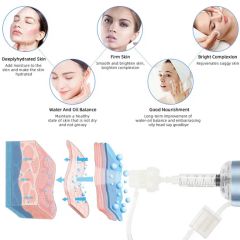 Cheap Haifeel Portable Negative Pressure Mesotherapy Gun Skin Rejuvenation Mesotherapy Injection Gun Beauty Machine - Image 6