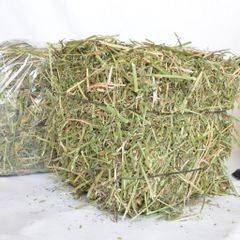 Timothy Hay High Fiber Green Fodder Supporting Healthy Growth Of Rabbits And Horses - Image 5
