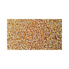 Premium grade yellow maize for export to international markets - Image 1