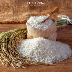 Jasmine Rice – product photo 4, product detail gallery