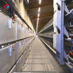Battery Automatic Factory Made 2024 New Design Poultry Farm Layer Cage - Image 4