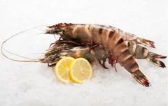 Frozen Sea Tiger Shrimp Supplier & Exporter India | Black Tiger Prawns | HOSO, HLSO & Peeled | Bulk Wholesale Seafood - Image 3