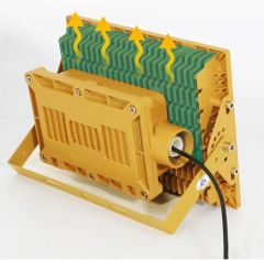 Anti Explosion Proof Flood Light 100W Explosion-Proof LED Lights Ex Proof Floodlight Fixture - Image 5