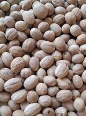 Nutmeg - Image 1