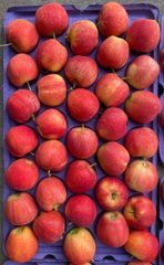 Fresh Delicious Fuji And Gala Apples Available Now!! - Image 5