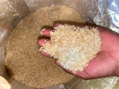 Rice - Image 4