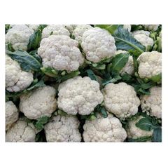 Fresh Cauliflower Cheap Price Fresh Vegetables New Crop Grade A Texture Crisp Max. Moisture (%) 5 Type fresh cauliflower - Image 2