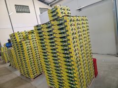 High Quality Fresh Avocado, Farm-to-Table traceable – product photo 5, product detail gallery