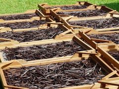 Ceylon Vanilla – product photo 2, product detail gallery