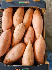 sweet potato – product photo 3, product detail gallery